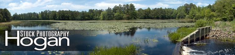 Cedar Lake panorama