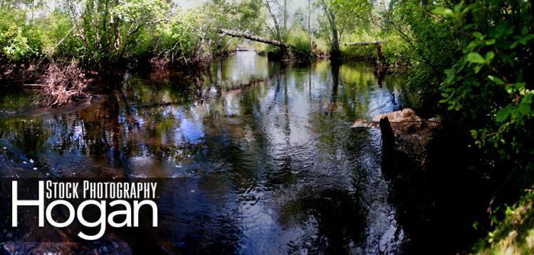 Mullica River below Beaver Pond, Panorama