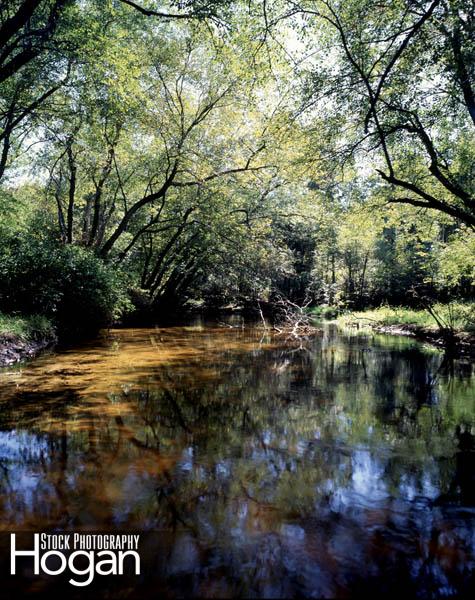 Reflections Great Egg Harbor River NJ Pine Barrens