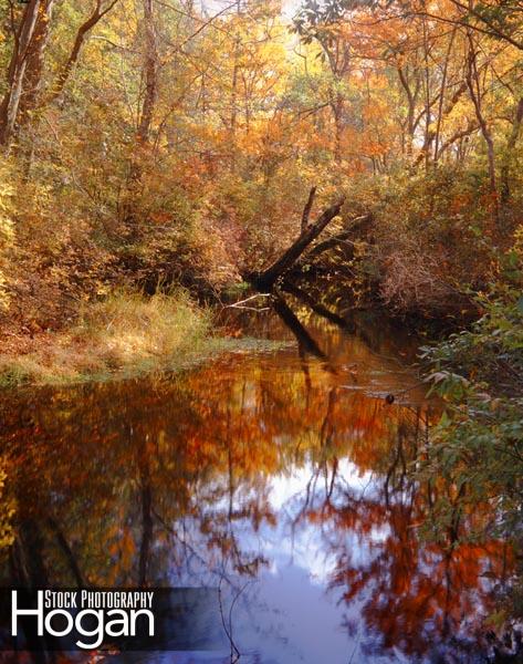 Tuckahoe River Fall Reflections NJ Pine Barrens